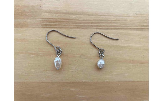 琵琶パールのアクセサリー作り＆真珠養殖体験ツアー【FG04W】