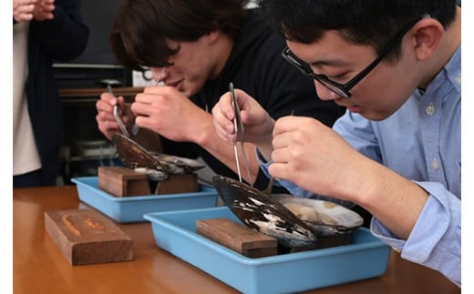 琵琶パールのアクセサリー作り＆真珠養殖体験ツアー【FG04W】