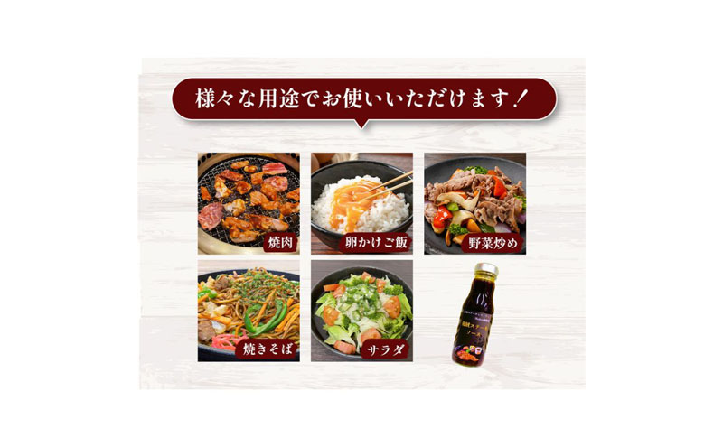 海賊ステーキソース　270ml×2本　料理　調味料　時短　万能