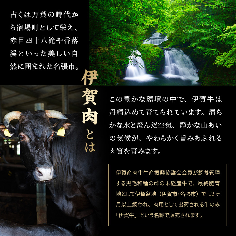 伊賀牛 3ヶ月連続お届け 定期便 C [ 伊賀忍者ビーフ 切り落とし コマ肉　× 2  コロッケ ミンチボール  ] 丸福精肉店 牛肉 高級 和牛 肉 伊賀牛肉 伊賀 人気 自宅用 グルメ お取り寄せ 誕生日 お祝い ご馳走 パーティー 贅沢 三重 三重県