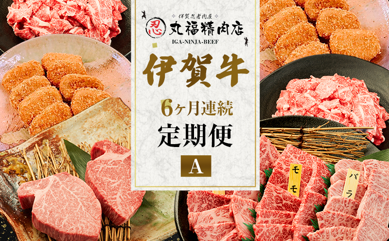 伊賀牛 6ヶ月連続お届け 定期便 A [ 伊賀忍者ビーフ 切り落とし コマ肉 ×2  コロッケ ミンチボール ×2 ヒレ ステーキ 焼肉 3種 ] 丸福精肉店 牛肉 高級 和牛 肉 伊賀牛肉 伊賀 人気 自宅用 グルメ お取り寄せ 誕生日 お祝い ご馳走 パーティー