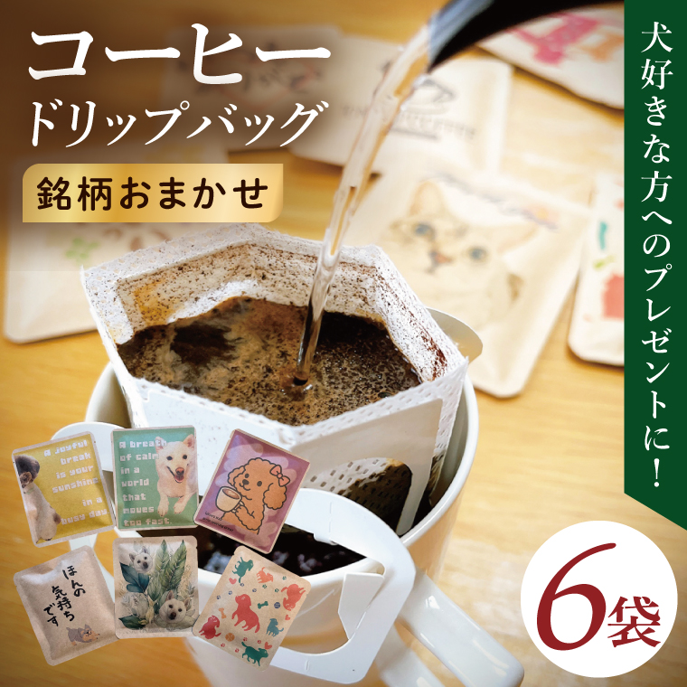 y錧szhbvobO@6Zbgi炯jbM[ R[q[   v` Mtg  錧 siCC007j