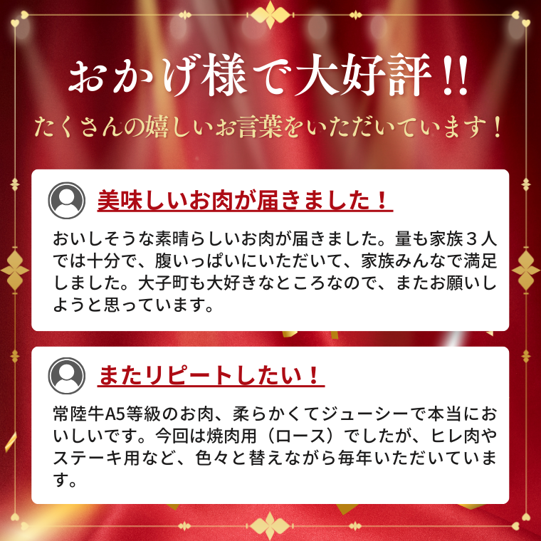 常陸牛A5等級　焼肉用500g（ロース）｜茨城県 大子町 奥久慈 お肉 牛肉 銘柄牛 ブランド牛 和牛 常陸（AC008）