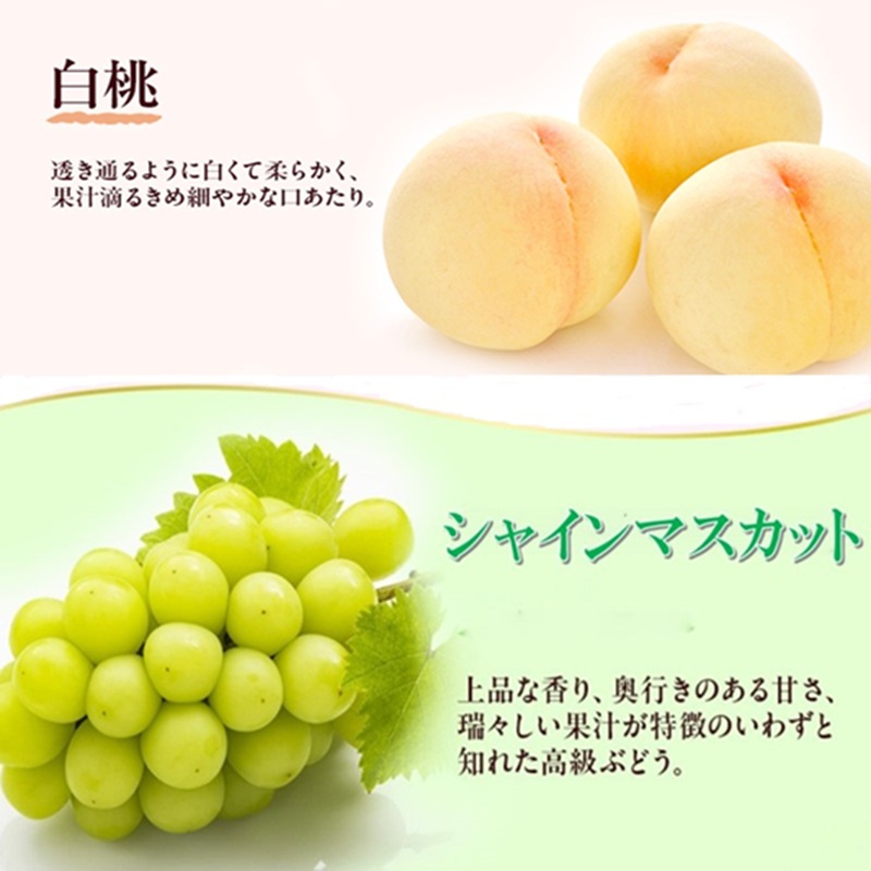 岡山県産 フルーツセット(シャインマスカット1房・白桃1玉)  果物 フルーツ 詰め合わせ ぶどう ブドウ 葡萄 シャインマスカット 桃 白桃 国産