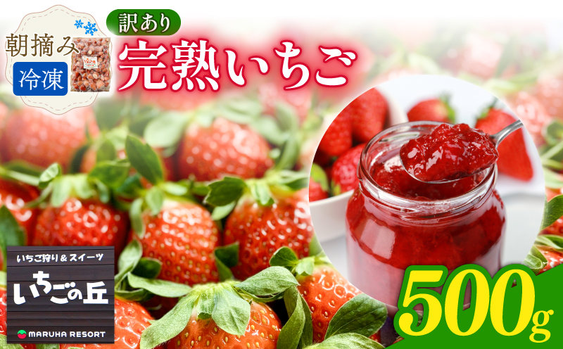 まるは食堂　マルハリゾート　いちごの丘の『 訳あり 』完熟冷凍いちご 500g