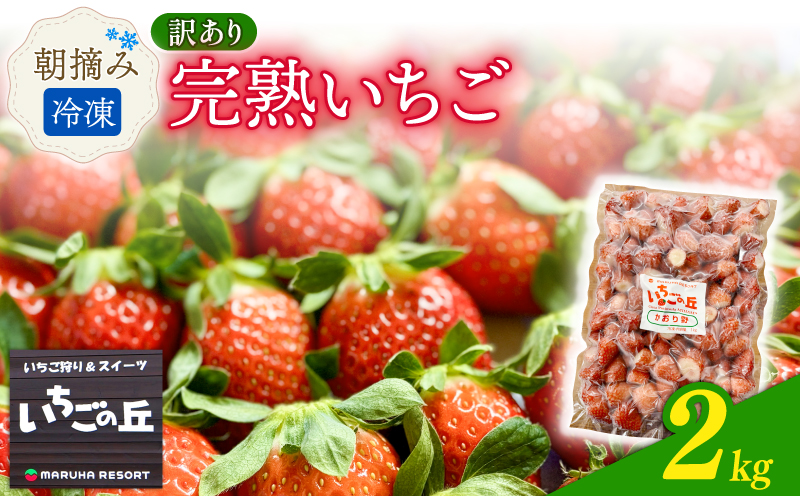 まるは食堂　マルハリゾート　いちごの丘の『 訳あり 』完熟冷凍いちご 2kg