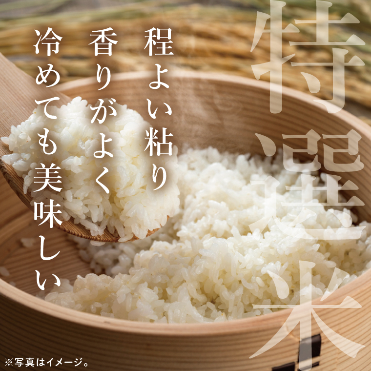 筑波山麓・羽鳥の沢水米 コシヒカリ 精米 5kg【茨城県共通返礼品：桜川市】|お米 米 こしひかり 茨城県 取手市（CA001）