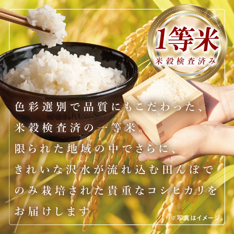 筑波山麓・羽鳥の沢水米 コシヒカリ 精米 10kg【茨城県共通返礼品：桜川市】|お米 米 こしひかり 茨城県 取手市（CA002）