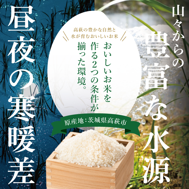 コシヒカリ 白米 5kg【茨城県共通返礼品：高萩市】|お米 米 精米 こしひかり 茨城県 取手市（CB001）