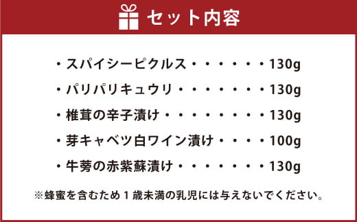 【3ヶ月定期便】なごみやお試しセット 5種 合計620g セット ピクルス きゅうり 椎茸 芽キャベツ 牛蒡 ゴボウ 漬物 漬け物 詰合せ 詰め合わせ 野菜 野菜漬け 茨城県 守谷市 送料無料