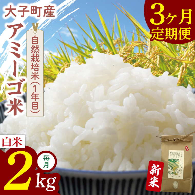 【限定価格】【3ヶ月定期便】令和7年産 新米 2kg アミーゴ米 【白米】（コシヒカリ・天日干し米・自然栽培米 （1年目））｜茨城県 大子町 袋田 米 精米 おだがけ米 はざがけ米 いねかけ米 先行予約 定期 毎月 3回 連続 農福連携（CA019）