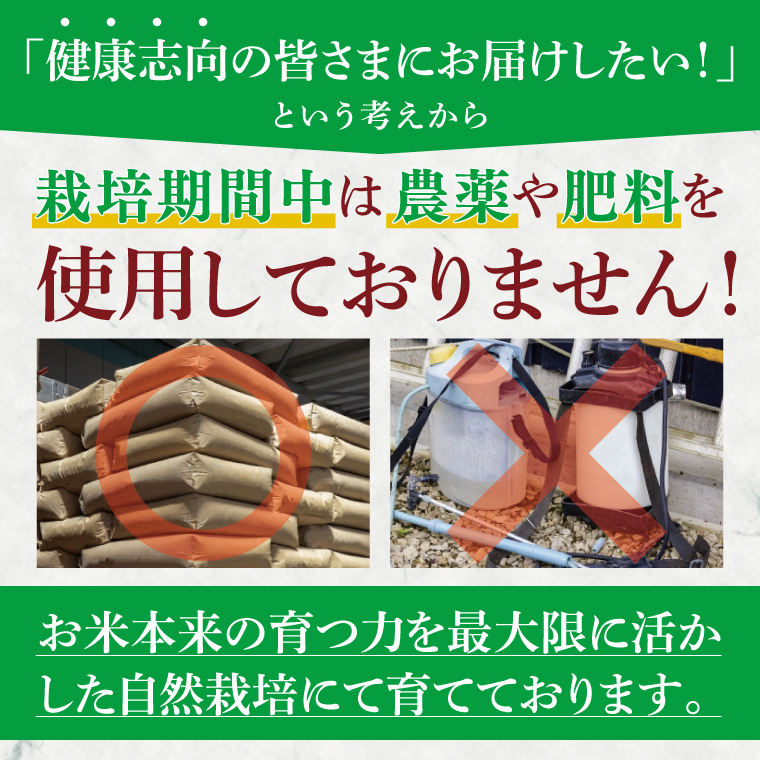 【限定価格】【3ヶ月定期便】令和7年産 新米 2kg アミーゴ米 【白米】（コシヒカリ・天日干し米・自然栽培米 （1年目））｜茨城県 大子町 袋田 米 精米 おだがけ米 はざがけ米 いねかけ米 先行予約 定期 毎月 3回 連続 農福連携（CA019）