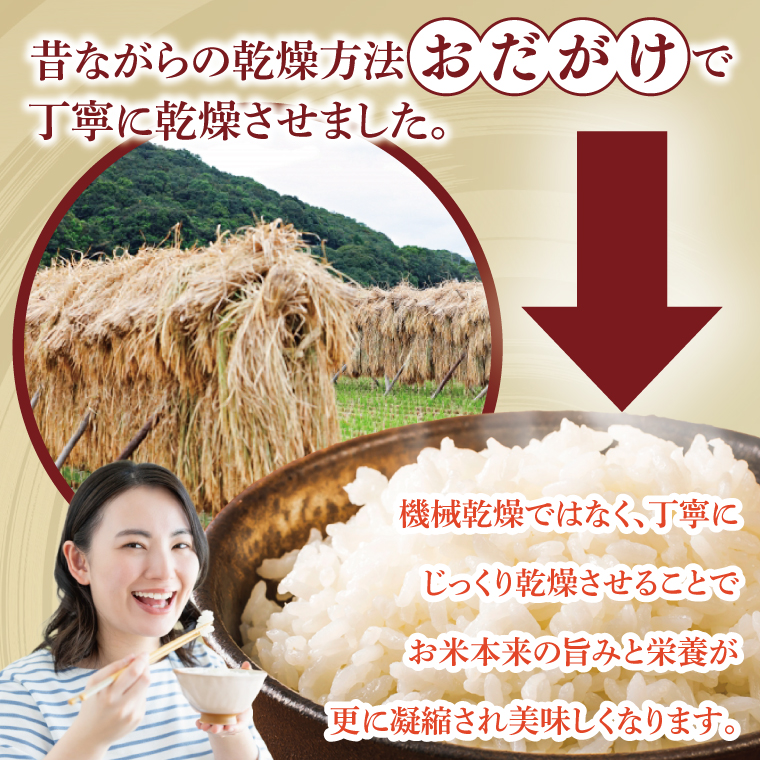 【限定価格】【3ヶ月定期便】令和7年産 新米 2kg アミーゴ米 【白米】（コシヒカリ・天日干し米・自然栽培米 （1年目））｜茨城県 大子町 袋田 米 精米 おだがけ米 はざがけ米 いねかけ米 先行予約 定期 毎月 3回 連続 農福連携（CA019）