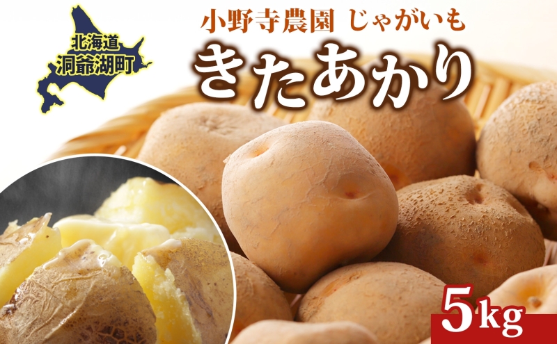 R8年産 先行受付 じゃがいも きたあかり 5kg 2026年9月下旬より順次出荷 栗じゃがいも ホクホク 甘い ポテトサラダ コロッケ 産地直送 お取り寄せ 国産 小野寺農園 北海道 洞爺湖町