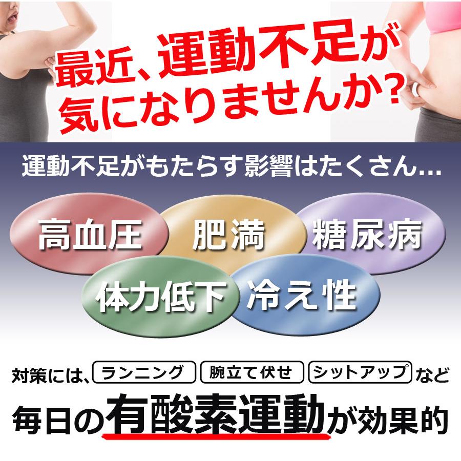 ステッパー フィットネス 静音 負荷調整 トレーニングバンド付属 計測メーター 有酸素運動 室内運動 足踏み ダイエット エクササイズ 昇降運動 下半身 運動 室内 筋トレ ながら運動 SunRuck SR-FT028