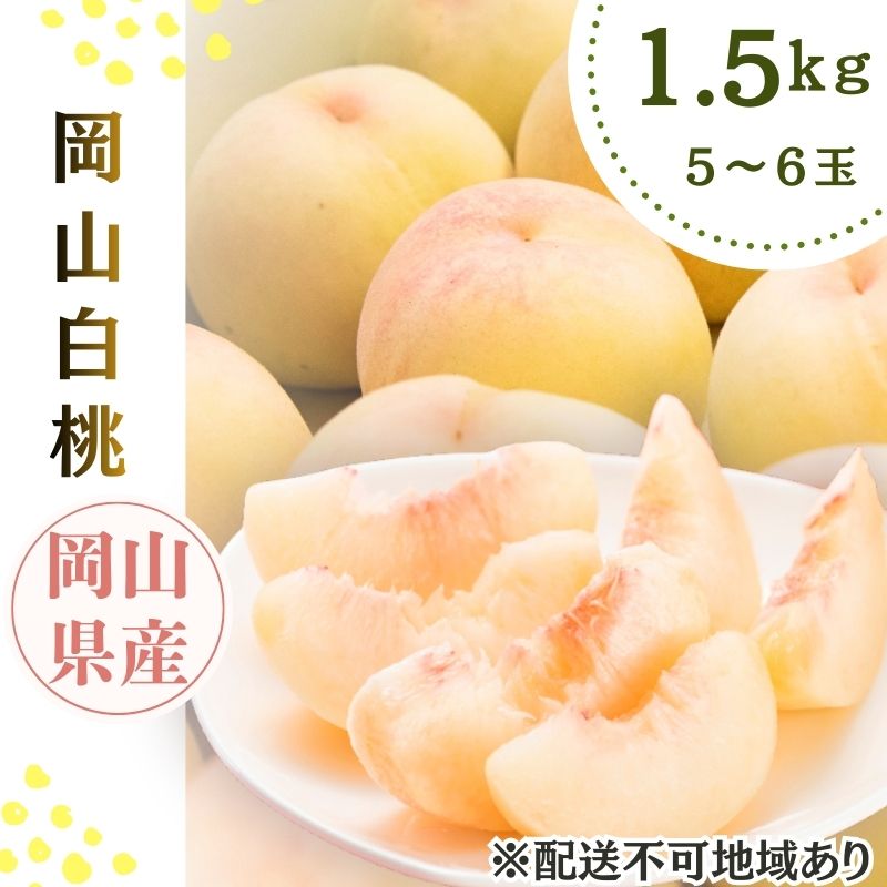 2026年先行予約 岡山県産 白桃 岡山白桃1.5kg箱 5～6玉  桃 果物 もも フレッシュ ハレノフルーツ 