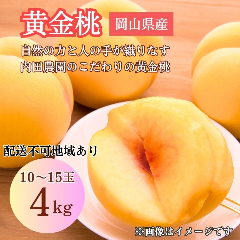 2026年 先行予約 岡山県産 黄色い桃 匠の黄金桃 4kg箱 10～15玉 内田農園 桃 果物 もも