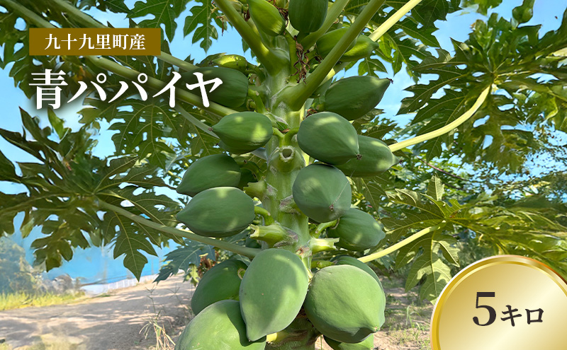 �y��t����\�㗢���z��\�㗢���Y�@�p�p�C���@5�L���@�ʕ� �t���[�c ��� �p�p�C�� �T���_ �\���^�� �u�ߕ� �V�Ղ� �p�p�C�� �|���t�F�m�[�� �r�^�~��C �_�C�G�b�g ��t�� ��\�㗢��