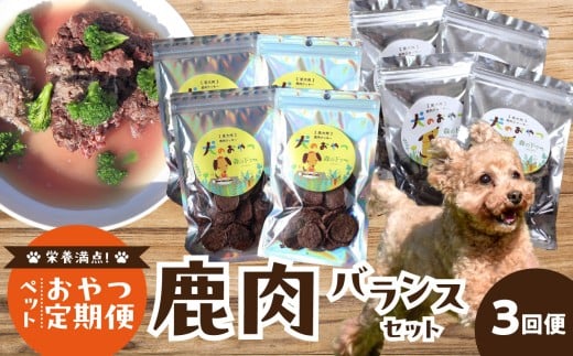 [定期便]栄養満点!ペットおやつ定期便 鹿肉 バランスセット [全3回] 犬用鹿肉ジャーキー 定期便 高たんぱく質 低カロリー 低アレルゲン 犬 イヌ 鹿肉 ジビエ 犬用 ペットフード おやつ [079-T01]