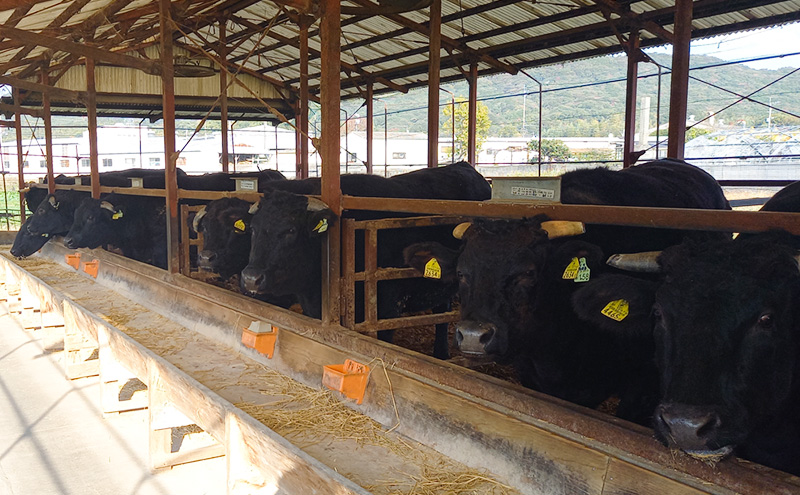 博多和牛 モモ 焼肉用 400g 牛肉 肉 ※配送不可：離島