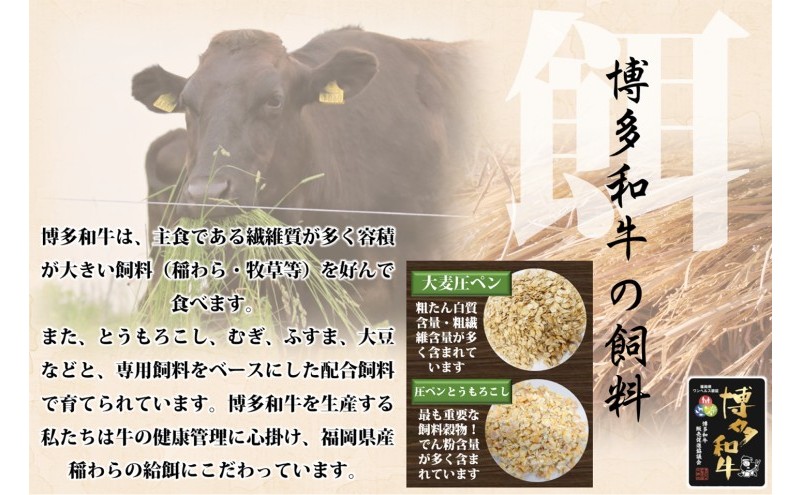 博多和牛 モモ 焼肉用・スライス 計800g (各400g) 牛肉 肉 セット ※配送不可：離島