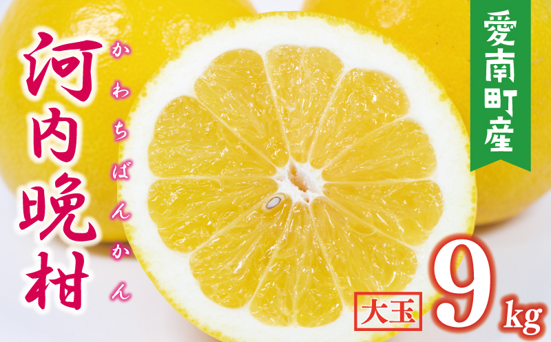 �y���Q�����쒬�z���ʌ��� ��s�\�� �͓��ӊ� ���� 25�N�ȏ� ��� 9kg �i 2L�T�C�Y �ȏ� �j 11000�~ �݂��� mikan ���� �~�J�� ���킿�΂񂩂� ����S�[���h �����Ȃ� �S�[���h ���U �h�� �a�� �O���[�v�t���[�c �Y�n���� ���Y �_�ƒ��� ���Ԍ��� ���Y�i �[���[ �W���[�X �A�C