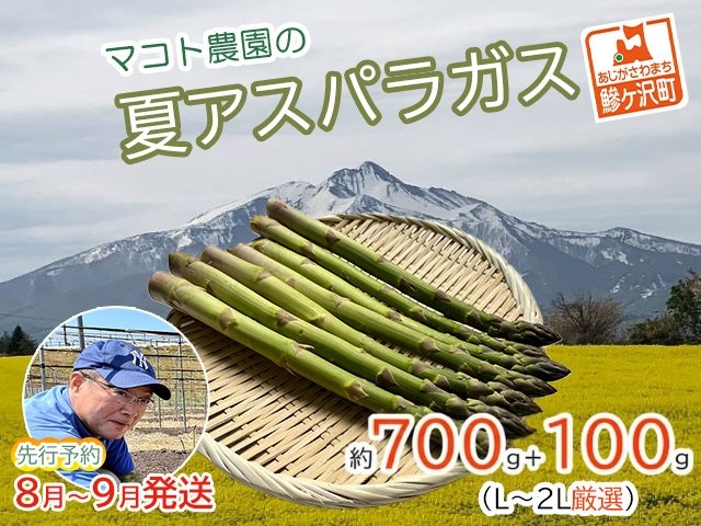 アスパラガス 先行予約 夏アスパラガス 約700g+100g 約25本前後 L～2L 厳選 マコト農園 アスパラ グリーンアスパラ 野菜 夏 旬 旬の野菜 産地直送 2026年 2026 先行 予約 青森 冷蔵 冷蔵配送 8月～9月発送