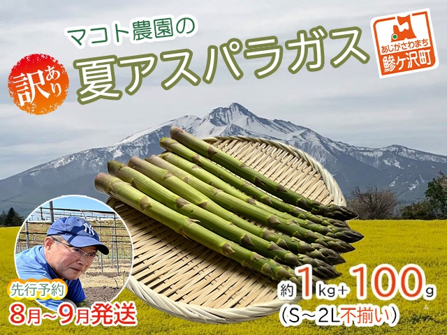 アスパラガス 先行予約 夏アスパラガス 約1kg+100g 約40本前後 S～2L 訳あり 不揃い マコト農園 規格外 アスパラ グリーンアスパラ 野菜 旬 旬の野菜 産地直送 2026年 2026 予約 冷蔵配送 8月～9月発送