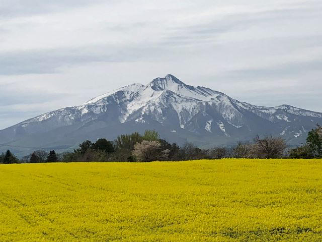 アスパラガス 先行予約 夏アスパラガス 約1kg+100g 約40本前後 S～2L 訳あり 不揃い マコト農園 規格外 アスパラ グリーンアスパラ 野菜 旬 旬の野菜 産地直送 2026年 2026 予約 冷蔵配送 8月～9月発送