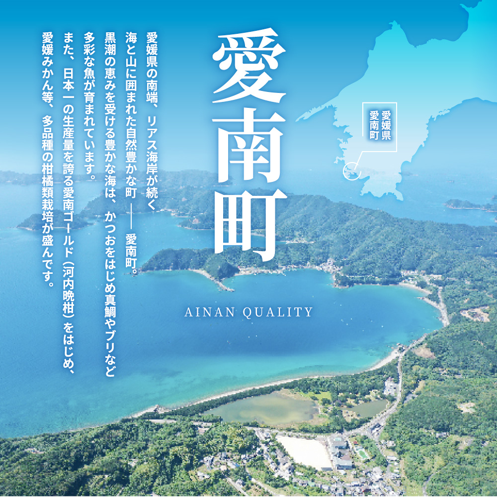 数量限定 先行予約 河内晩柑 樹齢 25年以上 中玉 6kg （ L ・ 2Lサイズ ） 8000円 みかん mikan 蜜柑 ミカン かわちばんかん 愛南ゴールド あいなん ゴールド 文旦 派生 和製 グレープフルーツ 産地直送 国産 農家直送 期間限定 特産品 ゼリー ジュース アイス 等に 人気 限定 甘い さわやか フルーツ 果物 柑橘 蜜柑 みかんの山祥 愛南町 愛媛県