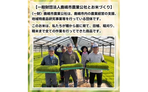 ★令和8年産 先行予約★ 数量限定 米 精米 白米 10kg「こしひかり」先行予約 鹿嶋市産【令和8年産 コシヒカリ 10キロ お米 コメ ごはん ライス ブランド米 茨城県 鹿嶋市】(KEJ-8)