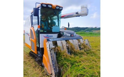 ★令和8年産 先行予約★ 数量限定 米 精米 白米 10kg「こしひかり」先行予約 鹿嶋市産【令和8年産 コシヒカリ 10キロ お米 コメ ごはん ライス ブランド米 茨城県 鹿嶋市】(KEJ-8)