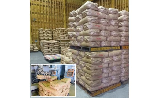 ★令和8年産 先行予約★ 数量限定 米 精米 白米 10kg「こしひかり」先行予約 鹿嶋市産【令和8年産 コシヒカリ 10キロ お米 コメ ごはん ライス ブランド米 茨城県 鹿嶋市】(KEJ-8)