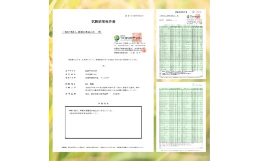 ★令和8年産 先行予約★ 数量限定 米 精米 白米 30kg「こしひかり」先行予約 鹿嶋市産【令和8年産 コシヒカリ 30キロ お米 コメ ごはん ライス ブランド米 茨城県 鹿嶋市】(KEJ-9)