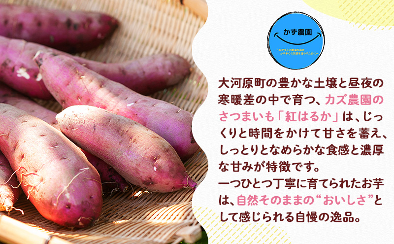 大河原町産 紅はるかペースト（離乳食）10個