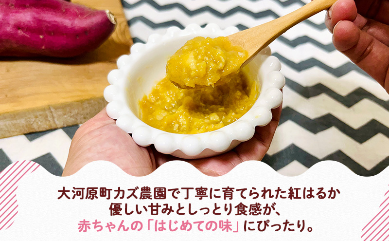 大河原町産 紅はるかペースト（離乳食）５個
