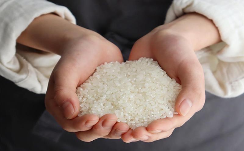 定期便 4ヶ月 ベストファーマーズ賞受賞 いのちの壱 白米 2kg 無農薬 令和7年産 米 お米 チャック付 チャック 小分け  産地直送 長野 定期 4回