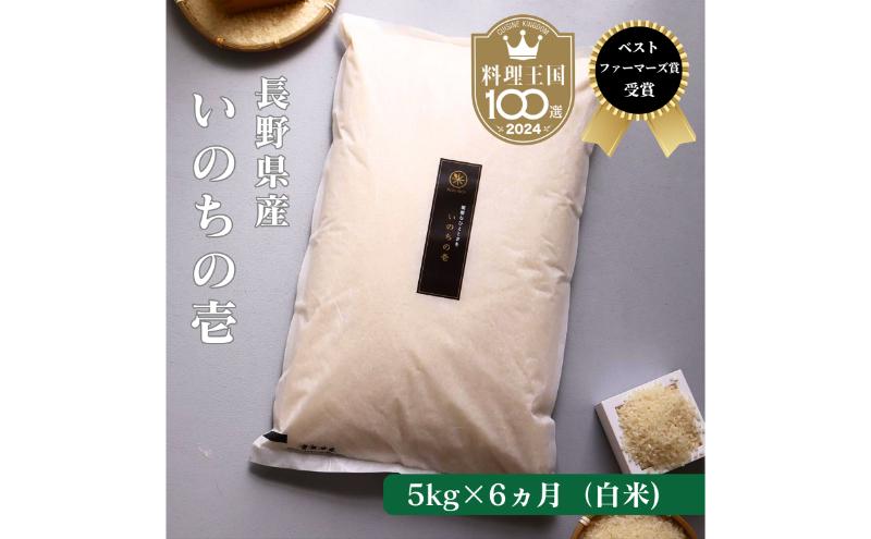 定期便 6ヶ月 ベストファーマーズ賞受賞 いのちの壱 白米 5kg 無農薬 令和7年産 米 お米 チャック付 チャック 小分け  産地直送 長野 定期 6回