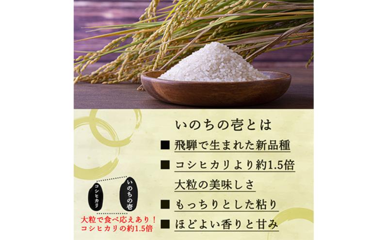 定期便 6ヶ月 ベストファーマーズ賞受賞 いのちの壱 白米 5kg 無農薬 令和7年産 米 お米 チャック付 チャック 小分け  産地直送 長野 定期 6回