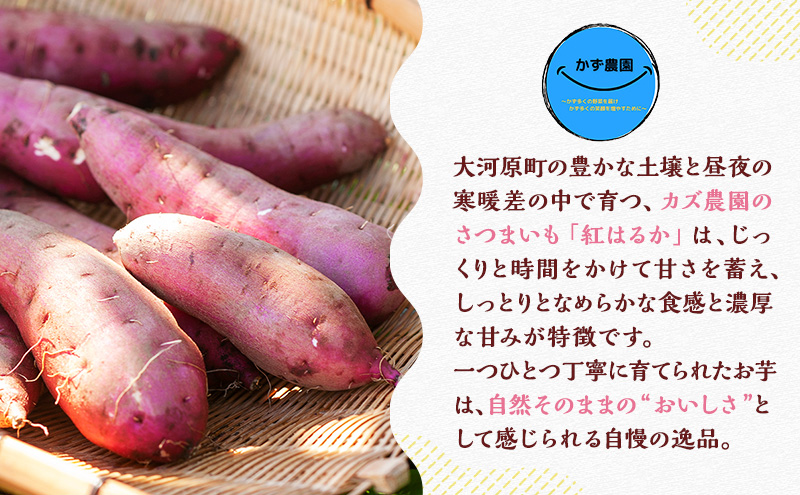 大河原町産紅はるかジェラート10個