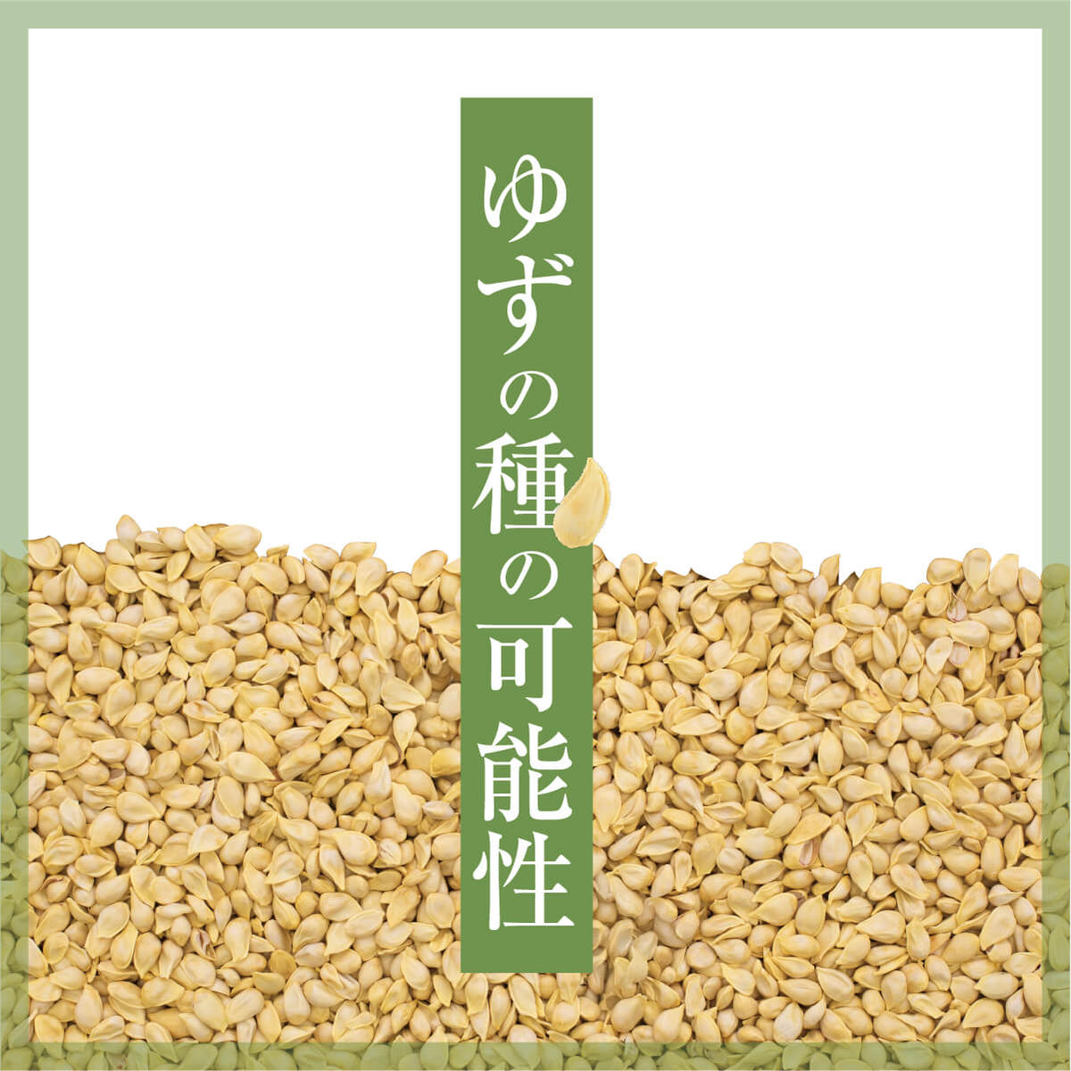 umaji クレンジングオイル200mL×3本 洗顔 化粧落とし