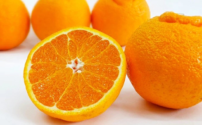 数量限定 先行予約 不知火 3kg 9000円 みかん しらぬい デコポン と 同品種 mikan 蜜柑 ミカン 産地直送 国産 農家直送 期間限定 特産品 ゼリー ジュース アイス 等に 人気 限定 甘い 果実 果肉 フルーツ 果物 柑橘 美味しい おいしい ジューシー 吉田農園 愛南町 愛媛県