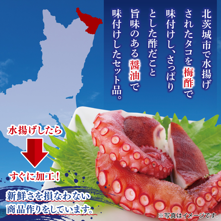 おつまみタコセット（６Pセット）【たこ タコ 魚 海産物 茨城県 北茨城市 冷凍 惣菜 おかず おつまみ】(CU008)