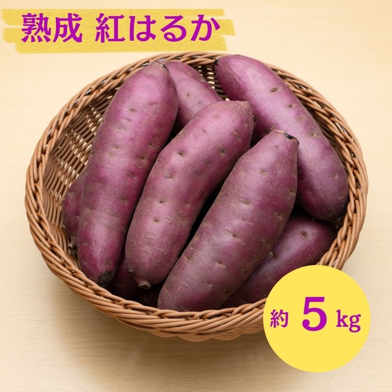 �y�H�c���ɂ��َs�z�ɂ��َs �ۊ��� ��{���Y�u ���܂��� 2���� �n�� �g�͂邩 5kg �v�y �Y�n���� ���Y �� ������ ��� �Ă��� �C�� ��� �����n�� �H�c�� �ɂ��فz