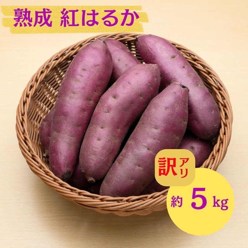 �y�H�c���ɂ��َs�z�ɂ��َs �ۊ��� ��{���Y�u ���܂��� 2���� �n�� �g�͂邩 �s���� 5kg �v�y �Y�n���� ���Y �� ������ ��� �Ă��� �C�� ��� �s���� �����n�� �H�c�� �ɂ��فz