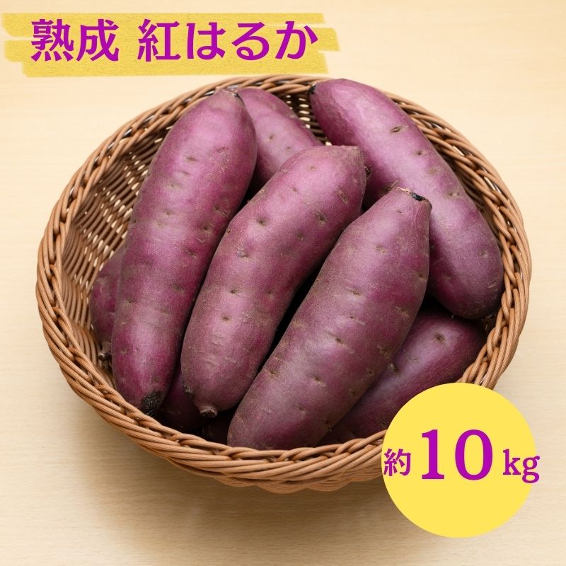 �y�H�c���ɂ��َs�z�ɂ��َs �ۊ��� ��{���Y�u ���܂��� 2���� �n�� �g�͂邩 10kg �v�y �Y�n���� ���Y �� ������ ��� �Ă��� �C�� ��� �����n�� �H�c�� �ɂ��فz