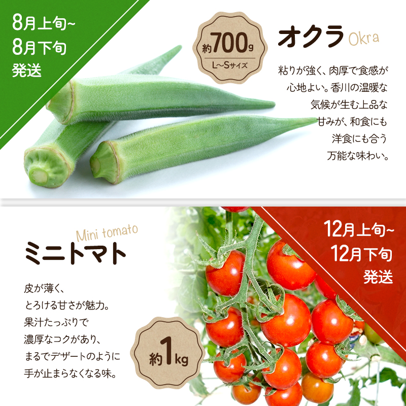 旬のさぬきの野菜定期便（6回）　野菜 定期便 旬 新鮮 食べごろ 季節 ブロッコリー アスパラ ホワイトコーン オクラ ミニトマト 香川県 東かがわ市