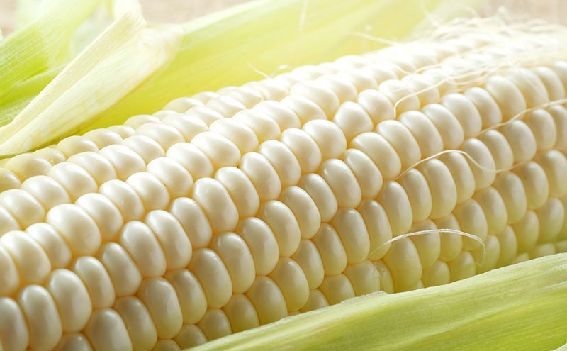 旬のさぬきの野菜定期便（6回）　野菜 定期便 旬 新鮮 食べごろ 季節 ブロッコリー アスパラ ホワイトコーン オクラ ミニトマト 香川県 東かがわ市