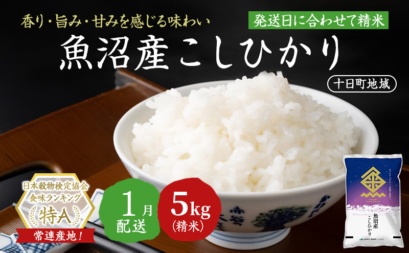 令和7年産米】魚沼産こしひかり(十日町地域)5kg 1月配送 お米 精米