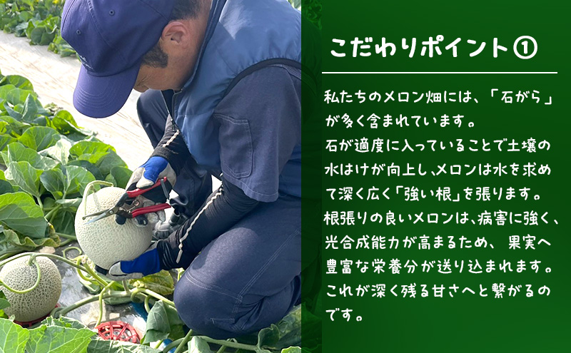 【2026年発送】 富良野メロン 赤肉 2玉入(約2kg以上) メロン ふらのメロン フルーツ 果物 くだもの 美味しい 甘い ギフト プレゼント 北海道 富良野市